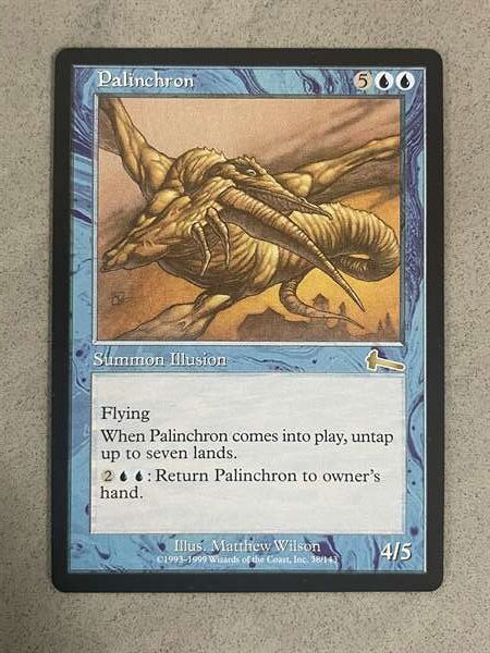 038PALULGN Palinchron