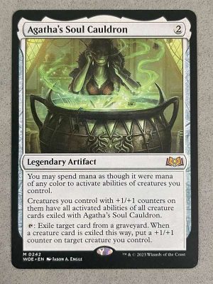 242AGAWOEN Agatha's Soul Cauldron