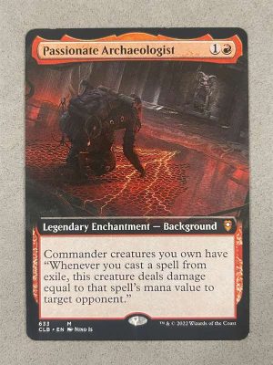 633PASCLBN Passionate Archaeologist