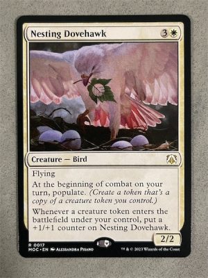 Nesting Dovehawk