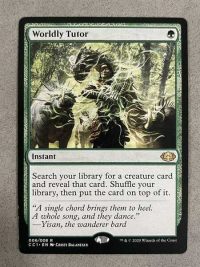 Worldly Tutor
