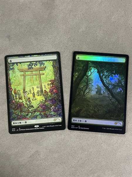 forestsplash Forest