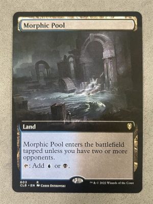 603MORCLBN Morphic Pool
