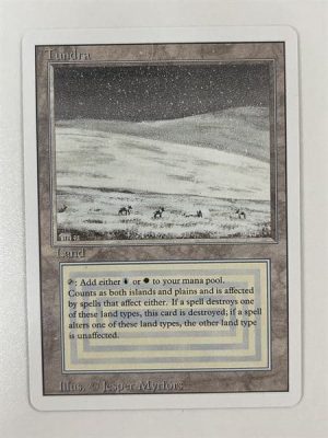 revisedtundra Bundle - Dual Land