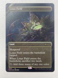 Lotus Field