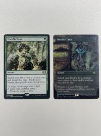 Worldly Tutor