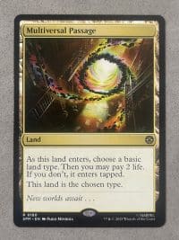 Multiversal Passage