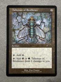 Talisman of Resilience