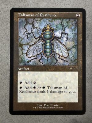 Talisman of Resilience