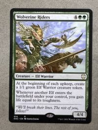 Wolverine Riders