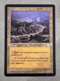 167WINWTHN Winding Canyons