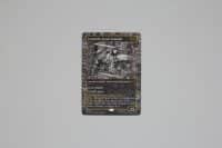 Leonardo, Sewer Samurai