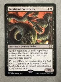 Persistent Constrictor