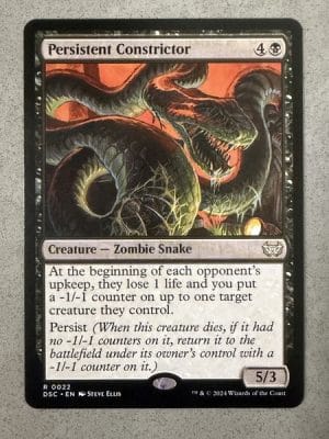 Persistent Constrictor